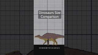 HERBIVORE DINOSAURS Size Comparison  Edmontosaurus [upl. by Ydnil]