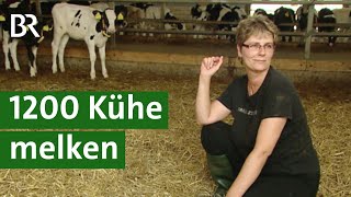 RiesenKuhstall mit 1200 Milchkühen in Thüringen – gibt’s da noch Tierwohl  Unser Land  BR [upl. by Kano]