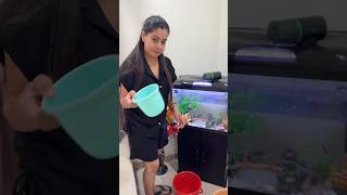 Aqarium ki Safae Karni Padi  😊 minivlog sanjhalikavlog aquarium vlog [upl. by Ellirpa]