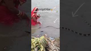 Chhath Puja Song Sharda Sinha Sharda sinha chhath puja song djSharda sinha chhath puja song video [upl. by Ahsytal480]