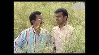 Episode 386 Vairanenjam Tamil TV Serial  AVM Productions [upl. by Daphene59]