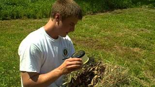 How to Make Fire from a Magnifying Glass [upl. by Rie596]