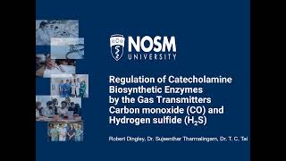 NHRC 2024 Theme 2 Regulation of Catecholamine Biosynthetic Enzymes DinglyR [upl. by Eskill]