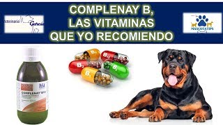 ¿PORQUE RECOMIENDO LA VITAMINA B O COMPLEJO B COMPLENAY B [upl. by Bertle]