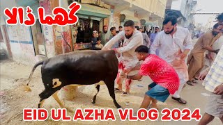 EID UL AZHA VLOG 2024  Dangerous Qurbani of the Year  Qurbani Vlog [upl. by Lleral556]