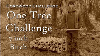 One Tree Challenge 7 inch Birch Cordwood Challenge entry How to cut firewood with axes [upl. by Harris]