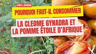 POURQUOI FAUTIL MANGER AZONGOGWE OU CONSOMMER LA CLEOME GYNADRA  SPORTS amp NUTRITION [upl. by Anazraf]