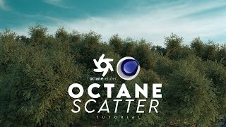 How to use Octane Scatter In Cinema 4d amp Octane Render  Cinema 4d Tutorial  Scatter Forester Trees [upl. by Aihsemot]