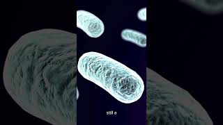 Streptococcus pneumoniae The Hidden Threat to Your Health [upl. by Mcdermott328]