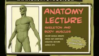 Digital Anatomy Lecture Overview [upl. by Waite]