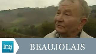 Lhistoire du Beaujolais Nouveau  Archive INA [upl. by Cutter24]