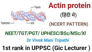 Actin protein  Tropomyosin  Troponin  NEET  PGT  TGT  MSc  BSc  UPHESC  CNET [upl. by Varrian]