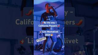 🌶️Red Hot Chili Peppers by CaliforniaPeppers  bytheway 🌶️ live Montalivet 2024 [upl. by Ahsanat863]