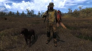 theHunter Classic  Misiones de Faisanes [upl. by Niro]