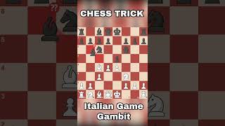 Italian Game Gambit [upl. by Reffineg882]