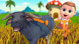 Animal Dance Song  Taking Care Baby  More Funny Kids Songs amp Nursery Rhymes [upl. by Ecirehs550]