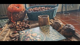 4 raccolta castagne funghi e relax [upl. by Sipple]