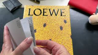 LOEWE PUZZLE BAG MINI [upl. by Gavrah188]