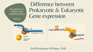 Differences between Prokaryotic and Eukaryotic Gene regulation  CBMP  Part 15 [upl. by Scrivens]