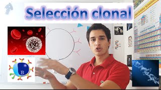 Selección clonal Inmunología EN 3 MINUTOS [upl. by Mona]