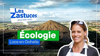 Les Zastuces à LoosenGohelle  Adopter des réflexes écologiques [upl. by Paton]