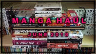 Manga Haul  June 2018  Sustain the Industry [upl. by Egroej282]