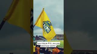 zalmi song status [upl. by Knapp]