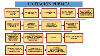 LICITACIÓN PÚBLICA PASOS Y TIEMPOS [upl. by Irtak]