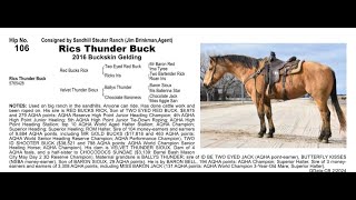 Pitzer Ranch Spring Sale 2024 Lot 106 RICS THUNDER BUCK [upl. by Fitton446]