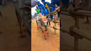 🔥ERUTHUKATTU VIBES editing velloreeruthukattu eruthukattu [upl. by Launcelot]