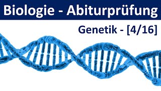 Biologie Abiturprüfung 2024  Aufgaben Genetik 22  Abitur Biologie 416 [upl. by Swihart901]