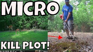 Learn How To Make A Food Plot With No Equipment [upl. by Nohtiek]