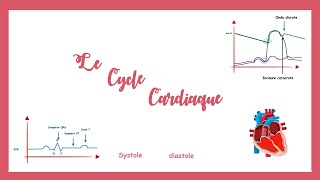 Le cycle cardiaquela pompe cardiaque Physiologie cardiovasculaire [upl. by Sylvanus]