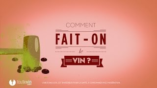 Comment faiton le vin   toutlevincom [upl. by Ecirtahs]