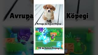 TR SOKAK KÖPEĞİ brawlstars türkiye köpek dog [upl. by Eltsyrhc331]