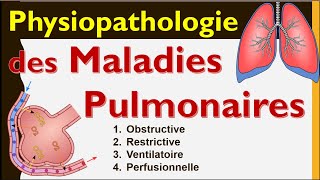 Causes et Physiopathologie des Maladies respiratoires explication Anatomie Poumon Cours de Médecine [upl. by Corliss656]