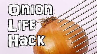 How to cut an Onion Life Hacks [upl. by Nellie]