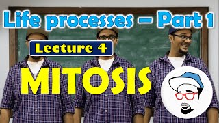 Mitosis  Life processes in Living Organisms Part 1 Class 10 SSC CBSE [upl. by Vi]