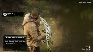 RDR 2 Catching the Legendary Longnose Gar and getting Survivalist Challenge 9 in Chapter 5 [upl. by Mcquoid]