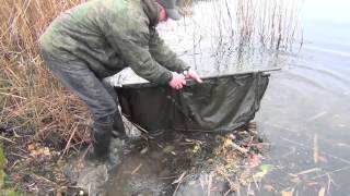 Premium Carp Fishing  Teakettle Fishery Whittle Mere Carp Stocking [upl. by Asia]