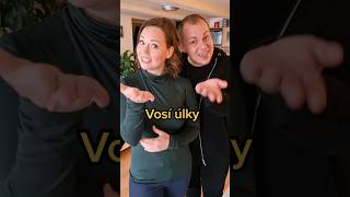 Jak to máte vy Vosí  včelíhnízda úlky [upl. by Nari824]