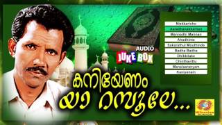 രണ്ടത്താണി ഹംസക്കയുടെ മികച്ച മാപ്പിളപ്പാട്ടുകൾ  കനിയേണം യാ റസൂലരേ [upl. by Alue]