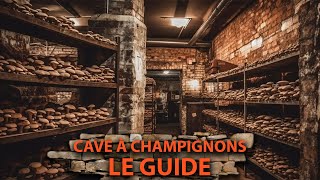 🍄 Faire POUSSER des CHAMPIGNONS dans sa CAVE Le GUIDE [upl. by Llenrahc690]