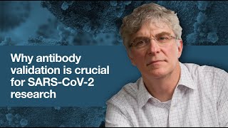 Why antibody validation is crucial for SARSCoV2 research [upl. by Duval]