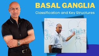 Basal Ganglia Classification and Key Structures  Neuroanatomy [upl. by Burkle]