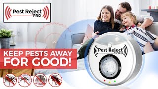 Pest Reject Pro  Creepy [upl. by Glynas]