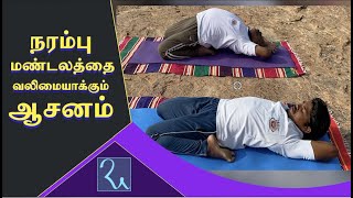 நரம்பு மண்டலம் வலுப்பெற செய்யும் ஆசனம்  Supta Vajrasanam Benefits  Aathma Yoga  Ra Media [upl. by Amaras]