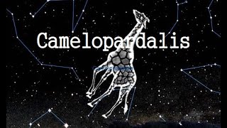 The Camelopardalis constellation Information history [upl. by Derron]