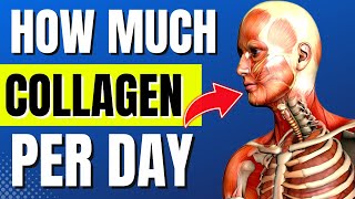 How Much Collagen Per Day SCIENCE suggests THIS amount [upl. by Aivila]