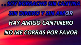 BORRRACHO SIN CANTINA VICENTE FERNANDEZ KARAOKE SAUL NAVA [upl. by Atteloj780]